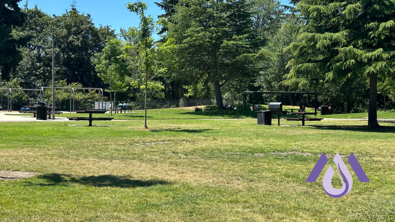 10 Reasons to Support Green Community Spaces